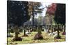 World War I Cemetery-Philippe Lissac-Stretched Canvas