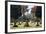 World War I Cemetery-Philippe Lissac-Framed Photographic Print