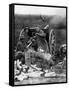 World War I: U.S. Artillery-null-Framed Stretched Canvas