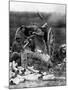 World War I: U.S. Artillery-null-Mounted Giclee Print