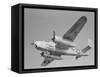 World War II B-25 Aircraft Training in Sky-null-Framed Stretched Canvas
