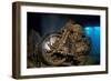 World War II Bsa M20 Motorbike in the Hold of Thistlegorm Wreck. Sha'Ab Ali, Sinai, Egypt. Red Sea-Alex Mustard-Framed Photographic Print