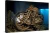 World War II Bsa M20 Motorbike in the Hold of Thistlegorm Wreck. Sha'Ab Ali, Sinai, Egypt. Red Sea-Alex Mustard-Stretched Canvas