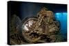 World War II Bsa M20 Motorbike in the Hold of Thistlegorm Wreck. Sha'Ab Ali, Sinai, Egypt. Red Sea-Alex Mustard-Stretched Canvas