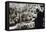 World War II. Dresden Destroyed by Bombing-null-Framed Stretched Canvas