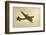 World War II Heavy Bomber-icholakov-Framed Photographic Print