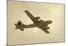 World War II Heavy Bomber-icholakov-Mounted Photographic Print