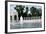 World War II Memorial 2-wyuey-Framed Photographic Print