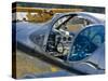 World War II Military Show, Arlington Fly-in, Arlington, Washington, USA-William Sutton-Stretched Canvas