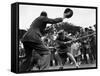 World War II Women, ATS Women Take Part in a Tug of War Competition, August 1941-null-Framed Stretched Canvas