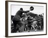 World War II Women, ATS Women Take Part in a Tug of War Competition, August 1941-null-Framed Photographic Print