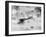 World War One Aircraft, 1916-17-English Photographer-Framed Premium Photographic Print