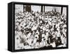 World Youth Congress, Vassar College, Poughkeepsie, New York, USA, 16-24 August 1938-Unknown-Framed Stretched Canvas