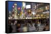 Worlds Busiest Road Crossing, Shibuya, Tokyo, Japan-Peter Adams-Framed Stretched Canvas