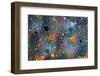 Worlds Far Away 6-Ursula Abresch-Framed Photographic Print