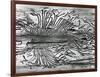 Worm Wood, California, c. 1937-Brett Weston-Framed Photographic Print