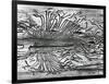 Worm Wood, California, c. 1937-Brett Weston-Framed Photographic Print