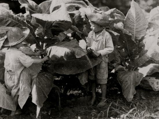 Photo, , large