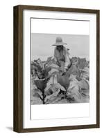 Worming Tobacco-Dorothea Lange-Framed Art Print