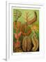 Worms-Ernst Haeckel-Framed Art Print