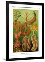 Worms-Ernst Haeckel-Framed Art Print