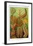 Worms-Ernst Haeckel-Framed Art Print