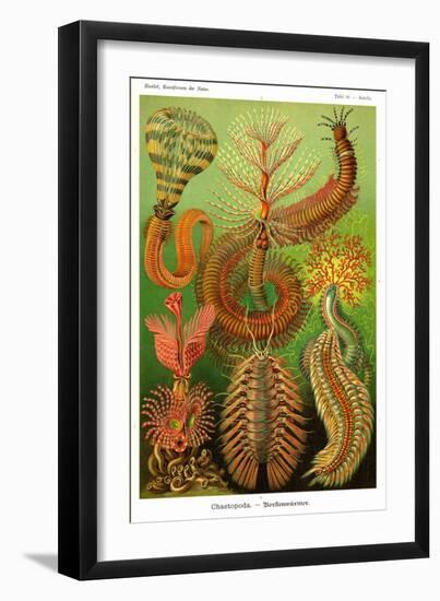 Worms-Ernst Haeckel-Framed Art Print