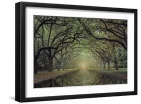 Wormsloe Avenue-Moises Levy-Framed Giclee Print