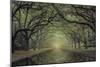 Wormsloe Avenue-Moises Levy-Mounted Giclee Print