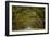 Wormsloe Plantation Oak Trees-skiserge1-Framed Photographic Print