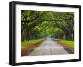 Wormsloe Plantation, Savannah, Georgia, USA-Joanne Wells-Framed Premium Photographic Print