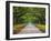 Wormsloe Plantation, Savannah, Georgia, USA-Joanne Wells-Framed Premium Photographic Print