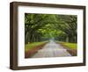 Wormsloe Plantation, Savannah, Georgia, USA-Joanne Wells-Framed Photographic Print