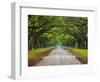 Wormsloe Plantation, Savannah, Georgia, USA-Joanne Wells-Framed Photographic Print