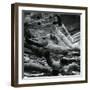 Wormwood, Alaska, 1973-Brett Weston-Framed Photographic Print