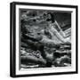 Wormwood, Alaska, 1973-Brett Weston-Framed Photographic Print