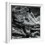 Wormwood, Alaska, 1973-Brett Weston-Framed Photographic Print