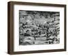 Wormwood, Alaska, 1973-Brett Weston-Framed Photographic Print