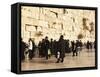 Worshippers at the Western Wall, Jerusalem, Israel, Middle East-Michael DeFreitas-Framed Stretched Canvas