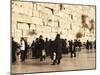 Worshippers at the Western Wall, Jerusalem, Israel, Middle East-Michael DeFreitas-Mounted Premium Photographic Print