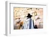 Worshippers at the Western Wall, Jerusalem, Israel, Middle East,-Neil Farrin-Framed Photographic Print