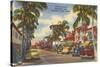 Worth Avenue, Palm Beach, Florida-null-Stretched Canvas