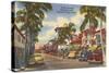 Worth Avenue, Palm Beach, Florida-null-Stretched Canvas