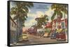 Worth Avenue, Palm Beach, Florida-null-Framed Stretched Canvas