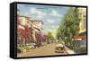 Worth Avenue, Palm Beach, Florida-null-Framed Stretched Canvas