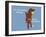 Worth Doing-Dog is Good-Framed Art Print