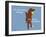 Worth Doing-Dog is Good-Framed Art Print