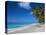 Worthing Beach on South Coast of Southern Parish of Christ Church, Barbados, Caribbean-Robert Francis-Stretched Canvas