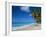 Worthing Beach on South Coast of Southern Parish of Christ Church, Barbados, Caribbean-Robert Francis-Framed Photographic Print