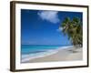 Worthing Beach on South Coast of Southern Parish of Christ Church, Barbados, Caribbean-Robert Francis-Framed Photographic Print